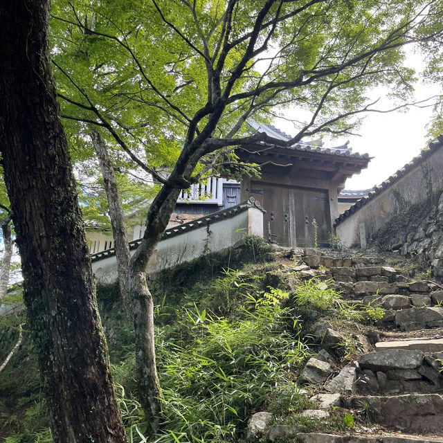 日本三大山城　【備中松山城】🏯　岡山