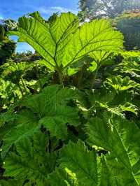 Queen Elizabeth Park – Vancouver’s Elevated Garden Sanctuary