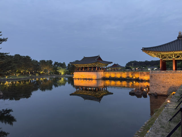 Where City Meets Sea: Korea in 3 Acts
