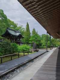 【行く前にこれ見て】名勝庭園を彩る翠の絨毯！心静かに新緑の美を味わう🌿✨※周辺観光情報付