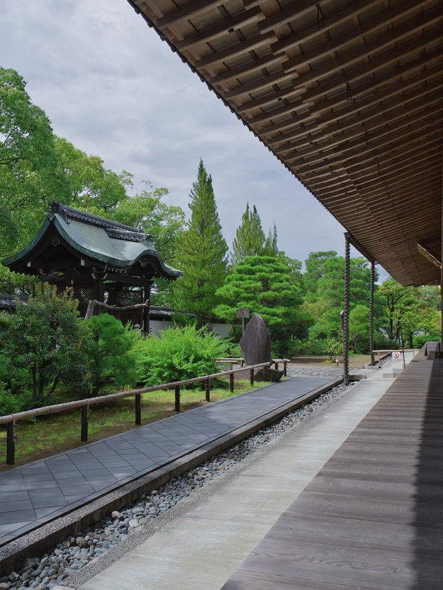 【行く前にこれ見て】名勝庭園を彩る翠の絨毯！心静かに新緑の美を味わう🌿✨※周辺観光情報付