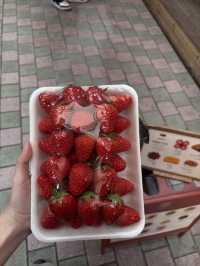 Eating My Way Through Jeju Island
