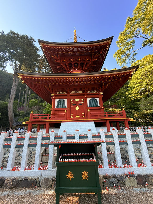 大阪｜被達摩包圍的勝尾寺 鐮倉幕府起將軍都要來求勝的千年古寺