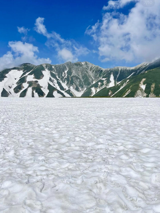 An Active Day Exploring Kurobe Dam & Murodo