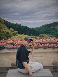 終於來到我夢寐以求的勝尾寺