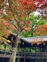 A Peaceful Day Strolling in Nagaokakyo