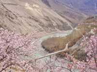 🌸Spring in Pakistan – A Season Like No Other
