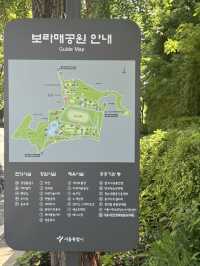 꽃놀이 가보자
