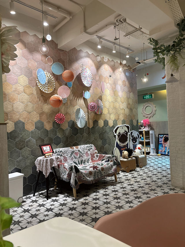 🌧️ 雨天療癒系｜澳門寵物友善小店 —— 芳堂 Little Kitchen 