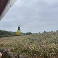 千萬不要再來沖繩自駕遊了！