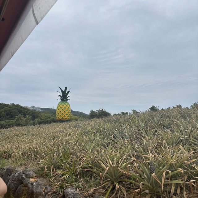 千萬不要再來沖繩自駕遊了！