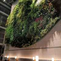 GREEN – 香港 The Hotel ICON