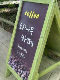 🍵 한옥에서 즐기는 바다와 자연, 소사나무 카페