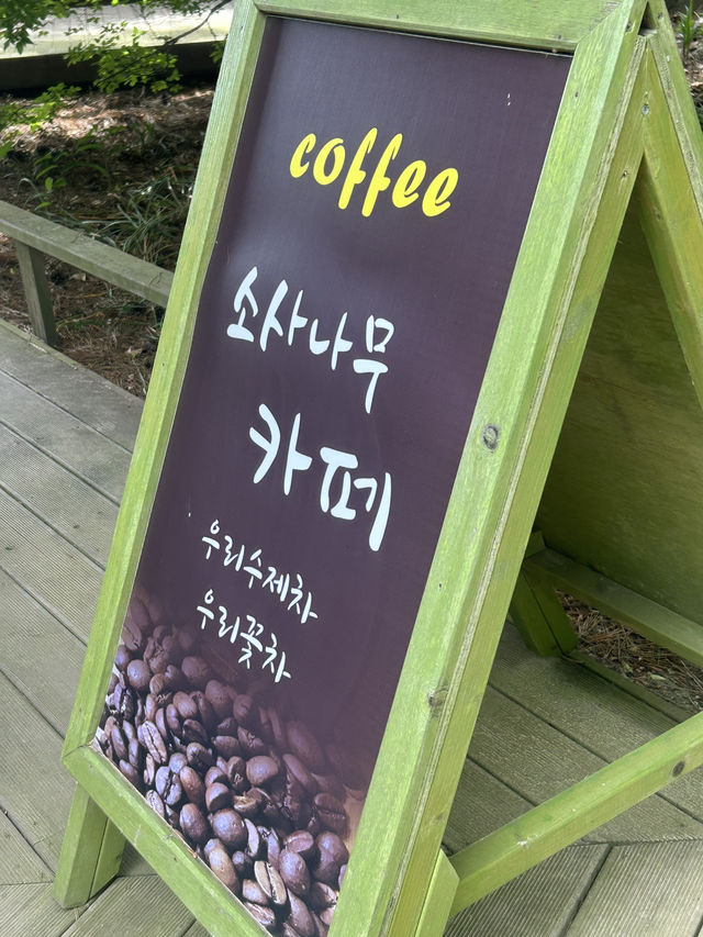 🍵 한옥에서 즐기는 바다와 자연, 소사나무 카페