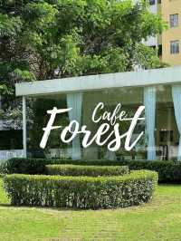 Cafe Forest