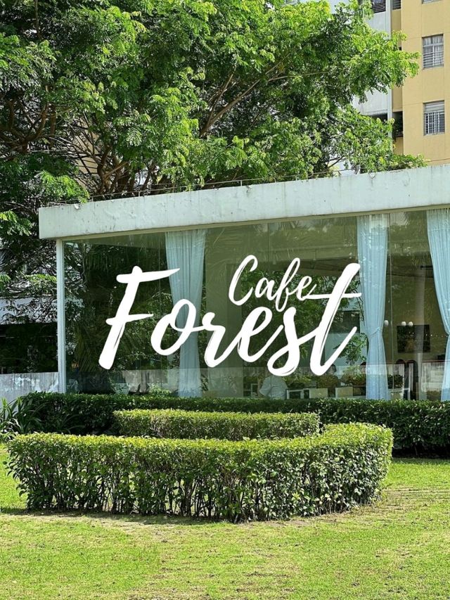 Cafe Forest