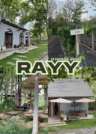 RAYY 穆瓦萊克咖啡廳 莎拉布里