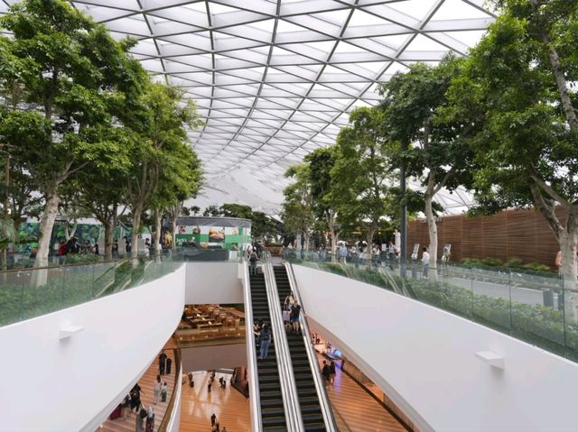 不可錯過的樟宜機場