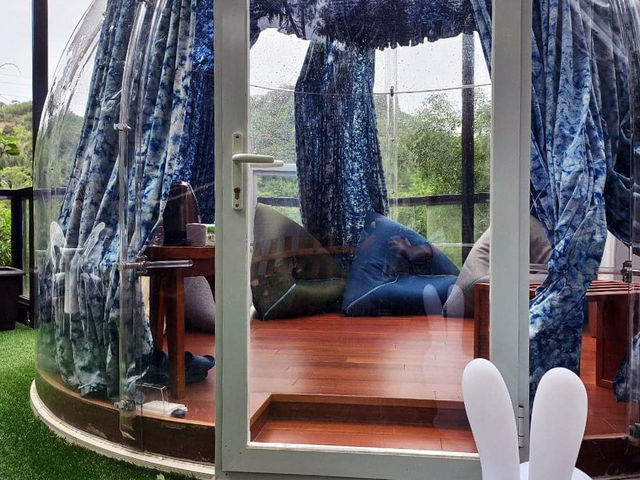 隱身山林的療癒小屋｜苗栗「桌也小屋」住宿體驗
