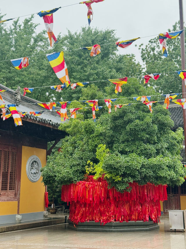 🛕Longhua Temple — วัดไวรัลที่ชาวไทยไปเยือนSHแนะนำ