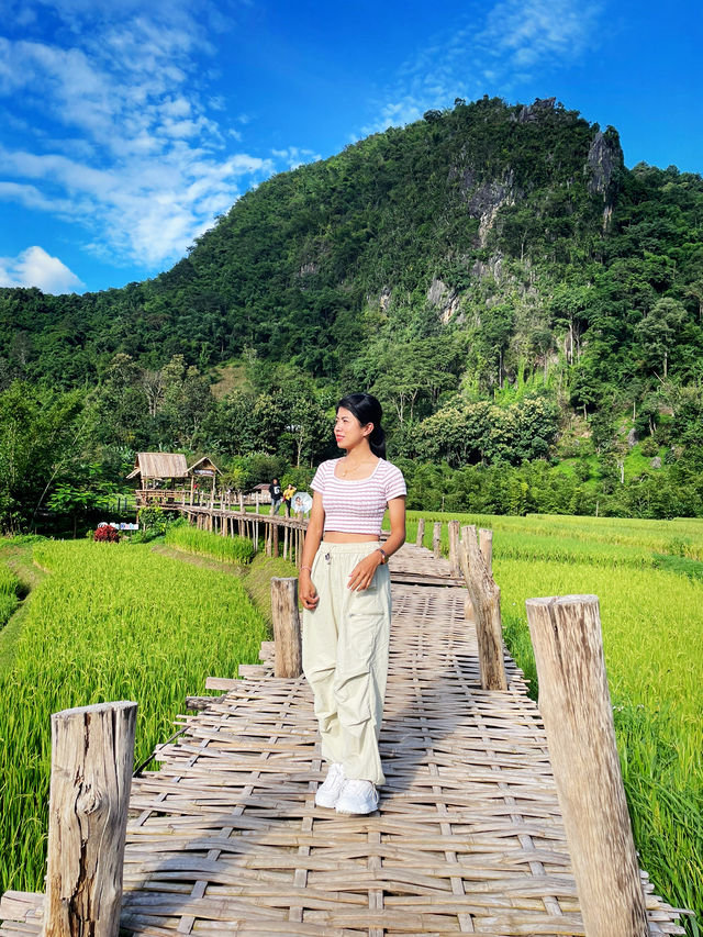 สัมผัสธรรมชาติและศรัทธากลางทุ่งนาวัดนาคูหา