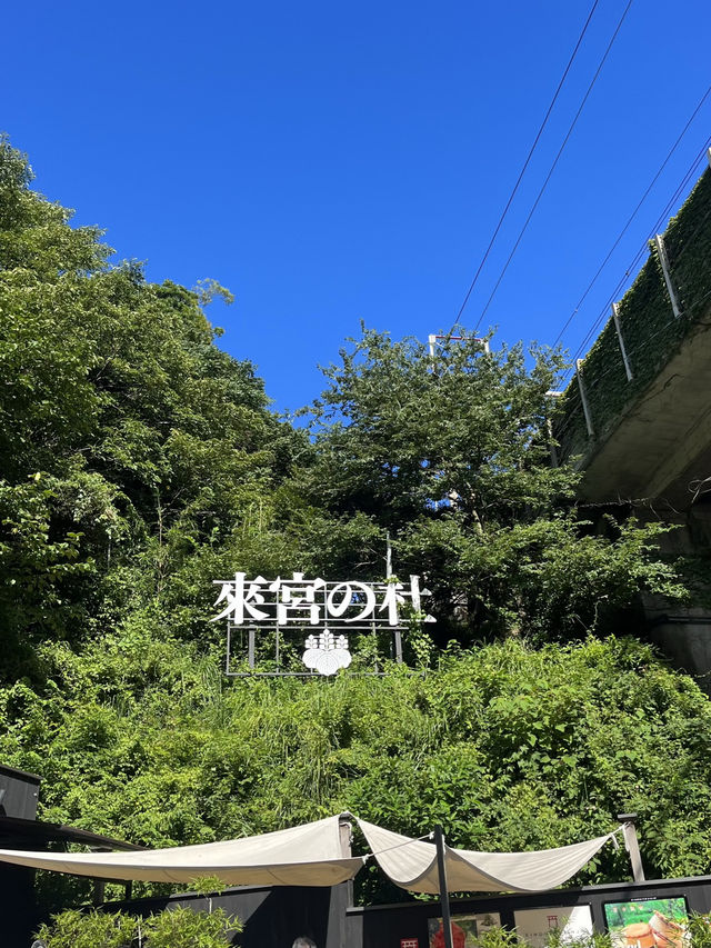 🌿【熱海・來宮神宮】樹齢2000年の御神木に会いに行く、癒しのパワースポット