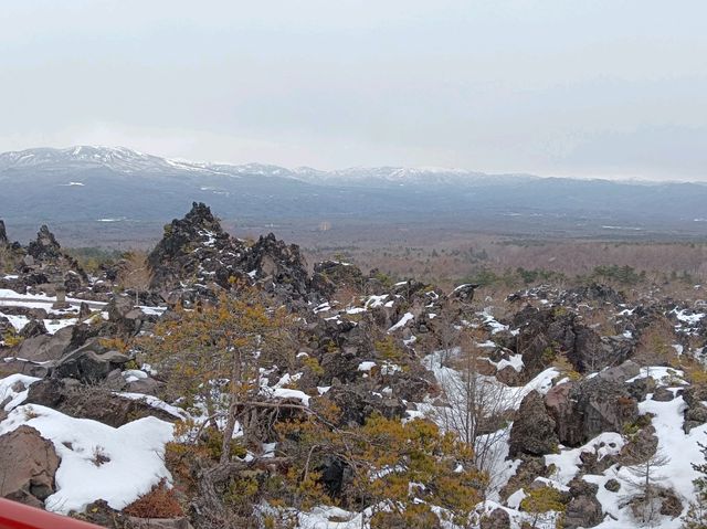 3月日本自由行 景点篇 鬼押出火山岩石公園