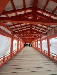 ⛩️【広島・宮島】神々と自然が宿る神秘の島で、心ほどけるひとときを🌿🌊