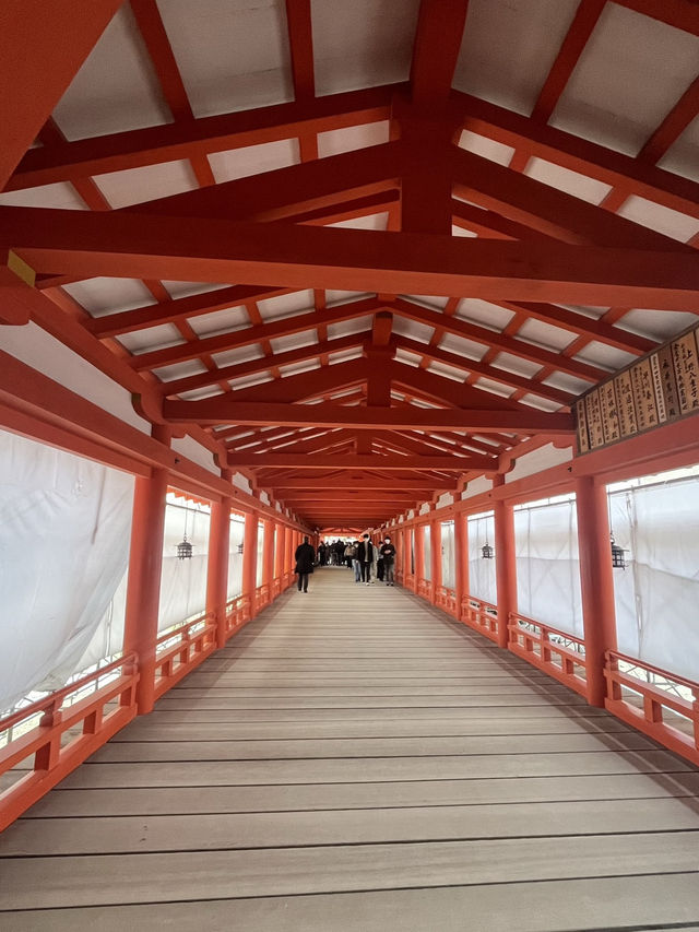 ⛩️【広島・宮島】神々と自然が宿る神秘の島で、心ほどけるひとときを🌿🌊