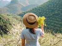 beautiful view with full bloomed plum flowers & nice trekking in Moc Chau