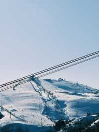 能夠吃到日本三大和牛之一近江牛的滑雪場！