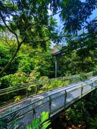 Journey to Hort Park 