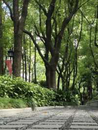 A Serene Retreat in the French Concession: My Visit to Fuxing Park, Shanghai