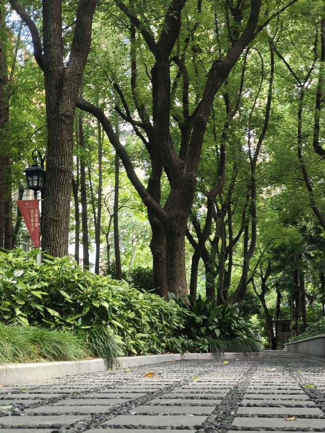 A Serene Retreat in the French Concession: My Visit to Fuxing Park, Shanghai