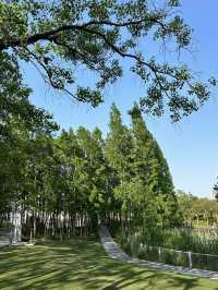 A Wetland Oasis by the River – Houtan Park, Shanghai