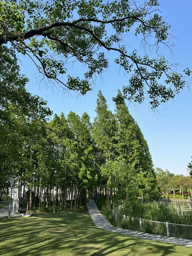 A Wetland Oasis by the River – Houtan Park, Shanghai