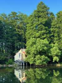 Forest Fun on the Cheap: My Visit to Gongqing Forest Park, Shanghai