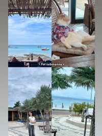 เกาะล้าน 🌊 2 วัน 1 คืน ☀️