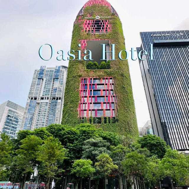 My Stay at Oasia Hotel Downtown: Singapore's Green Oasis! 🌿🏨✨