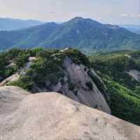 Quiet Trails, Forest Feels, and a Sneaky-Good Summit