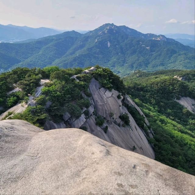 Quiet Trails, Forest Feels, and a Sneaky-Good Summit
