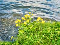 Lake St. Moritz – A Year-Round Alpine Icon