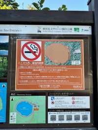 自然とグルメ天国、利尻⛰