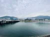 Yeosu EXPO Convention Center: Where Global Ambition Meets Coastal Splendor