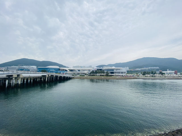 Yeosu EXPO Convention Center: Where Global Ambition Meets Coastal Splendor