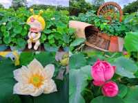 ภูเขาชิงซิ่ว "ปอดแห่งหนานหนิง" (Qingxiu Mountain) 