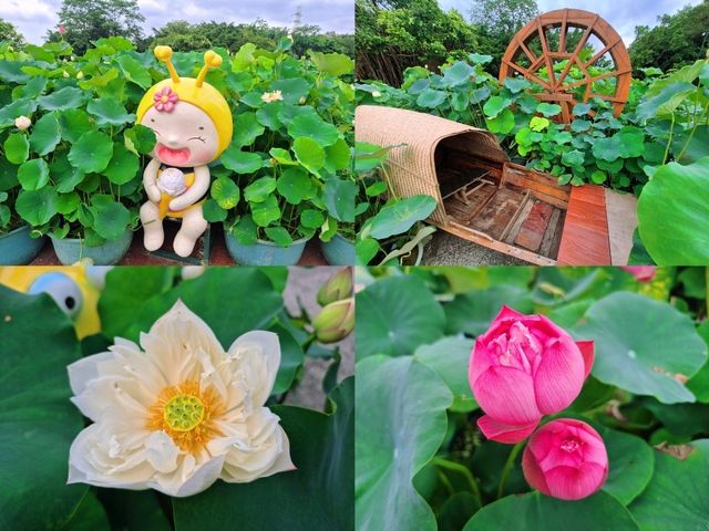 ภูเขาชิงซิ่ว "ปอดแห่งหนานหนิง" (Qingxiu Mountain) 
