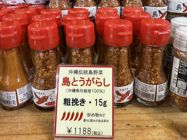 沖繩｜沖繩世界文化王國