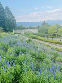 🦁自然と遊びが融合！愛宕山こどもの国で心も体もリフレッシュ🌿