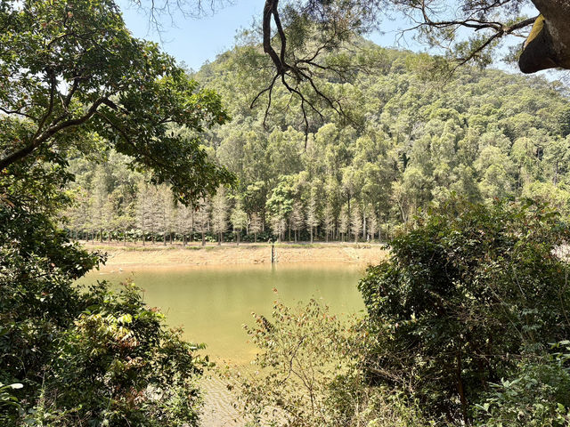 香港行山徑流水響